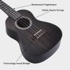 ADM Concert Mahogany Ukulele Package, 23 inch, Matte Black
